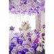 Set 100 Balone Mov, Latex, Baloane Mov, Balon Mov, Set Baloane, Balon Latex, Baloane Latex, Baloane Petrecere, Set Baloane Petrecere, Set Baloane Latex, Baloane Decor