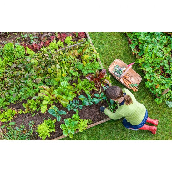 Manusi pentru Gradinarit, Marimea 7, Multicolor, Nylon, Manusi Gradinarit, Manusi Gradinarit Nylon, Manusi, Manusi Gradinarit Dama, Manusi Gradina, Manusi pentru Gradinarit, Manusi Protectie, Manusi Protectie Gradinarit