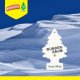 Odorizant Auto Bradut Wunder-Baum, Arctic White, Iasomie si Citrice, Odorizant Bradut, Odorizant Masina Bradut, Odorizant Auto Bradut, Odorizant Auto Arctic White, Odorizant Auto Iasomie, Odorizante Auto Citrice, Odorizant Racoritor
