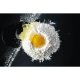 Faina Superioara 000 Baneasa, 2 kg, Faina, Faina Baneasa, Faina Superioara, Faina 000, Faina 000 Superioara, Faina cu Gluten, Faina Alba, Faina Alba Baneasa, Faina Alba de Grau, Faina Alba 000, Faina 2 Kg, Faina pentru Gatatit, Faina pentru Copt