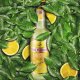 Cocktail Alcoolic Stalinskaya Music Lemon, 4% Alcool, 275 ml, Aroma de Lamaie, Cocktail Stalinskaya, Cocktail cu Vodca si Lamaie, Cocktail cu Lamaie, Bautura Alcoolica, Bauturi Alcoolice, Cocktailuri cu Vodca, Cocktailuri cu Fructe