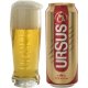 Bere Blonda Ursus Premium, 0.5 l, 24 Buc/Bax, Bere Blonda Ursus 500 ml, Bere Ursus 500 ml, Bere Doza 500 ml, Bere Blonda Ursus la Doza, Beri, Bere Blonda 0.5 l Ursus, Bax de Bere Blonda la Doza Ursus Premium, Doze de Bere Blonda Ursus