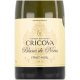 Vin Spumant Alb Cricova Blanc de Noirs, 0.75 l, Extra Brut, Alcool 12.5%, Vin Spumant, Vin Alb Spumant, Vin Extra Brut Spumant, Vin Alb Cricova, Vin Spumant Cricova, Vin Brut Cricova, Vin Spumant Cricova Premium, Cricova Blanc de Noirs