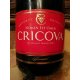 Vin Spumant Rosu Demisec Cricova Reserve Original, 0.75l, Alcool 12.5%, Vin Spumant, Vin Rosu Spumant, Vin Demisec Spumant, Vin Rosu Cricova, Vin Spumant Cricova, Vin Rosu Demisec Cricova, Vin Spumant Cricova Premium, Cricova Reserve Original