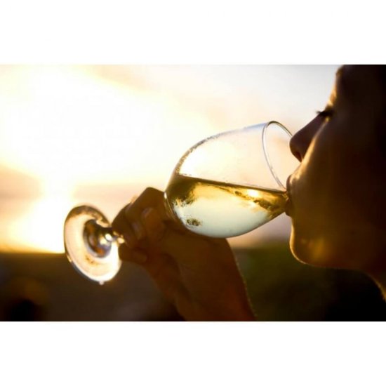 Vin Spumant Alb Extrabrut Mionetto Grande Vento, 0.75 L, 11% Alcool, Vin Spumant Extrabrut Mionetto Grande Vento Prosecco, Vin Spumant Mionetto Prosecco Grande Vento, Vin Alb Spumant Mionetto Prosecco DOC