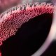 Vin Rosu Demisec Pinot Noir Vincon Beciul Domnesc, 0.75 L, 13.5% Alcool, Vin Pinot Noir Beciul Domnesc, Vin Beciul Domnesc, Vin Rosu Beciul Domnesc, Vin Demisec Beciul Domnesc, Vin Rosu Demisec Beciul Domnesc