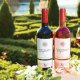 Vin Rosu Sec, Budureasca Organic, Merlot, 0.75 L, Vin Rosu Sec, Budureasca Organic Merlot, Bauturi Alcoolice, Vin Rosu Budureasca, Vin Rosu Alcool 13.5%