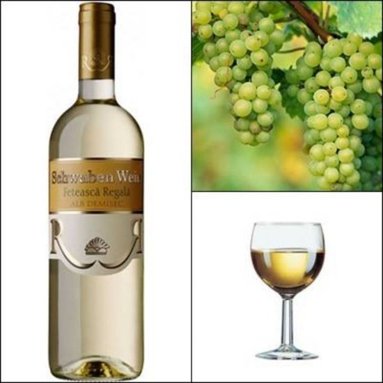 Vin Alb Demisec, Recas Schwaben Wein, Feteasca Regala, 0.75 L, Vin Alb Demisec, Recas Schwaben Wein Feteasca Regala, Bauturi Alcoolice, Vin Alb Recas Schwaben Wein, Vin Alb Alcool 12%