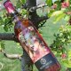 Vin Rose Sec, Regno Recas, Cupaj, 0.75 L, Vin Rose Sec, Regno Recas Cupaj, Bauturi Alcoolice, Vin Rose Regno Recas, Vin Rose Alcool 12.5%