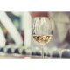 Vin Alb Sec Crama Oprisor La Cetate Sauvignon Blanc, 14.5% Alcool, 0.75 L, Crama Oprisor La Cetate Sauvignon Blanc Vin Alb Sec, Vinuri Crama Oprisor La Cetate, La Cetate Sauvignon Blanc Vinuri Seci, Vinuri, La Cetate Sauvignon Blanc Vin Sec Alb