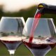 Vin Rosu Demisec, Domeniile Recas, Merlot, 0.75 L, Vin Rosu Demisec, Domeniile Recas Merlot, Bauturi Alcoolice, Vin Rosu Domeniile Recas, Vin Rosu Alcool 14%