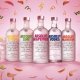 Vodca Absolut 1L, 40% Alcool, Vodca, Bautura Alcoolica, Bautura Absolut, Absolut 40% Alcool, Vodca la 1L, Vodca 40% Alcool, Absolut 40% Alcool 1L, Absolut Vodca, Vodca Alcool, Bauturi Alcoolice, Vodka Absolut, Absolut Vodka