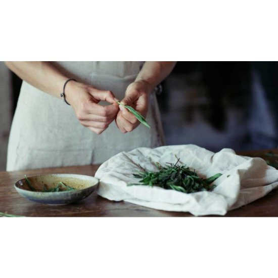 Set 5 Pungi Tarhon Frunze Aroma Spice, 500 g, Frunze de Tarhon, Tarhon Uscat, Frunze Uscate de Tarhon, Condimente, Tarhon Condiment, Condiment Tarhon, Tarhon la Punga, Tarhon Intreg, Tarhon Ambalat, Tarhon 500 g