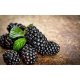 Sirop de Mure Raureni, 500 ml, Sirop Raureni, Sirop Mure, Raureni Sirop Mure, Sirop 500 ml, Sirop Fructe, Siropuri de Fructe, Siropuri Raureni, Siropuri de Mure, Sirop de Fructe