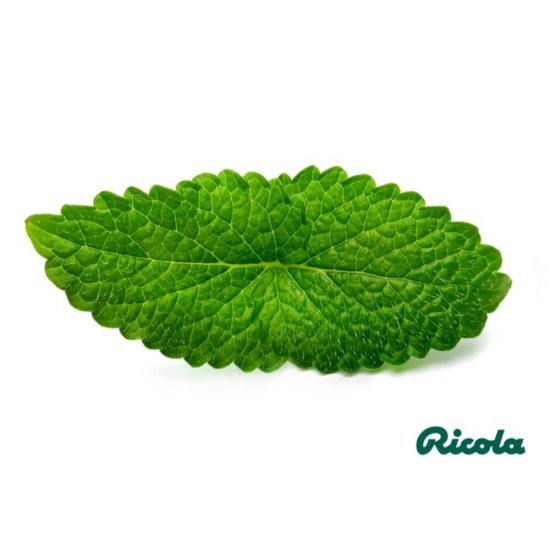 Dropsuri Aroma de Soc Ricola, 40 g, Dropsuri Ricola cu Aroma de Soc, Dropsuri Ricola cu Gust de Soc, Dropsuri cu Soc Ricola, Dropsuri Ricola cu Soc, Dropsuri pentru Tuse, Dropsuri pentru Gat Uscat, Dropsuri pentru Durere de Gat