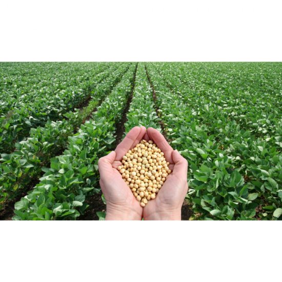 Soia Boabe AROMA Spice, 1 Kg, Boabe de Soia, Boabe de Soia pentru Gatit, Soia Boabe pentru Mancaruri, Boabe de Soia Aroma Spice, Soia Granulata, Boabe de Soia Uscate, Boabe Uscate de Soia, Boabe de Soia Deshidratete, Soia Boabe pentru Gatit