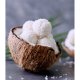 Fulgi de Nuca de Cocos DR. OETKER, 80 g, Fulgi de Cocos, Fulgi de Cocos pentru Prajituri, Fulgi de Cocos pentru Deserturi, Fulgi din Nuca de Cocos pentru Dulciuri, Fulgi de Cocos pentru Desert, Fulgi de Cocos pentru Decor