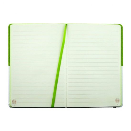 Agenda Dictando Nedatata DACO, 160 File, 10.5x14.8 cm, Format A6, 70 g/m², Imitatie de Piele/Textil, Alb/Verde, Agenda A6 Nedatata, Agende Birou cu 160 de Foi, Agenda Office cu 160 File, Agende Office de Birou cu 160 File, Agenda Simpla de Birou