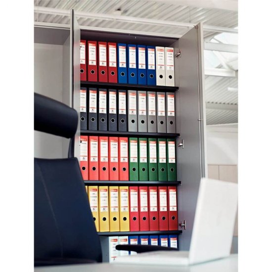Etichete Biblioraft Esselte, Printabile, 75 mm Latime, 50 Etichete/Set, Etichete Esselte, Etichete Printabile pentru Biblioraft Esselte, Coala cu Etichete Printabile Biblioraft Esselte, Etichete 75 mm Latime, Etichete Latime 75 mm