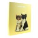 Caiet Mecanic A4 FAVINI Amico Mio, 4 Inele de Prindere, Coperta Cartonata, Caiete Mecanice, Caiete Mecanice A4, Caiet Mecanic cu Inele, Caiet Mecanic A4 Inele, Caiet Tip Mapa, Agenda Mecanica, Agenda Mecanica A4, Biblioraft