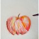 Set 24 Creioane Colorate Acuarelabile Faber-Castell, Hexagonale, Pensula Inclusa, Set Creioane Acuarelabile Faber Castell, Set Creioane Acuarela Faber Castell, Set Creioane Colorate Acuarela Faber Castell, Creioane pe Baza de Apa