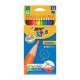 Creioane Colorate BIC Evolution, 12 Buc/Set, Culori Asortate, Set 12 Creioane Colorate BIC Evolution, Creioane Colorate Copii, Creioane Colorate BIC, Creion Colorat, Set Creioane Colorate BIC,