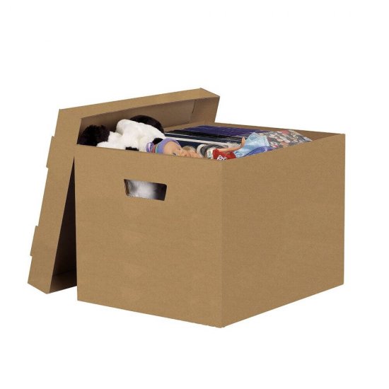 Container Arhivare Esselte Eco, 439x242x345 mm, Carton, cu Capac, pentru Cutii de 80 sau 100, Container de Arhivare Esselte, Cutie Arhivare, Cutie de Carton pentru Arhivare, Cutie pentru Arhivare, Cutie de Carton Eco pentru Arhivare