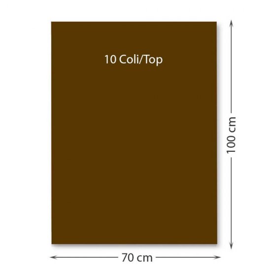 Hartie Cartonata FAVINI, Maro Inchis, 70x100 cm, 10 Coli/Top, 220 g/m², Carton Colorat, Carton Colorat 70x100, Hartie Cartonata Colorata, Hartie 70x100 Colorata, Coli Colorate, Top Hartie Cartonata, Coli Cartonate 70x100 cm, Hartie Cartonata Maro