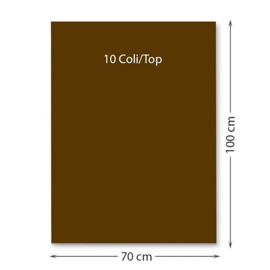 Hartie Cartonata FAVINI, Maro Inchis, 70x100 cm, 10 Coli/Top, 220 g/m², Carton Colorat, Carton Colorat 70x100, Hartie Cartonata Colorata, Hartie 70x100 Colorata, Coli Colorate, Top Hartie Cartonata, Coli Cartonate 70x100 cm, Hartie Cartonata Maro