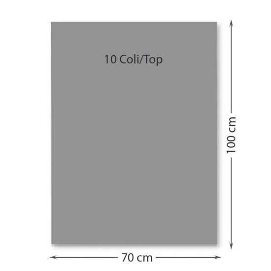 Hartie Cartonata FAVINI, Gri, 70x100 cm, 10 Coli/Top, 220 g/m², Carton Colorat, Carton Colorat 70x100, Hartie Cartonata Colorata, Hartie 70x100 Colorata, Coli Colorate, Top Hartie Cartonata, Coli Cartonate 70x100 cm, Hartie Cartonata Gri