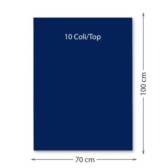 Hartie Cartonata FAVINI, Albastra Inchis, 70x100 cm, 10 Coli/Top, 220 g/m², Carton Colorat, Carton Colorat 70x100, Hartie Cartonata Colorata, Hartie 70x100 Colorata, Coli Colorate, Top Hartie Cartonata, Coli Cartonate 70x100 cm, Hartie Cartonata Albastra