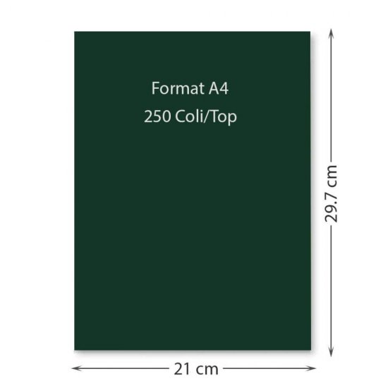 Hartie Cartonata A4 DACO, Verde Padure, 250 Coli/Top, 160 g/m², 210x297 mm, Carton Colorat, Carton Colorat A4, Hartie Cartonata Colorata, Hartie A4 Colorata, Coli Colorate, Top Hartie Cartonata, Coli Cartonate A4, Hartie Cartonata Verde