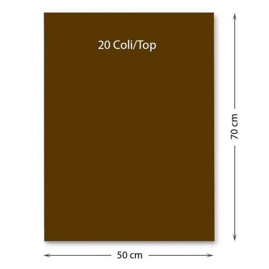 Hartie Cartonata FAVINI, Maro, 50x70 cm, 20 Coli/Top, 220 g/m², Carton Colorat, Carton Colorat 50x70, Hartie Cartonata Colorata, Hartie 50x70 Colorata, Coli Colorate, Top Hartie Cartonata, Coli Cartonate 50x70 cm, Hartie Cartonata Maro