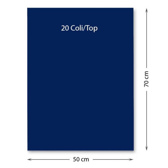 Hartie Cartonata FAVINI, Albastru Inchis, 50x70 cm, 20 Coli/Top, 220 g/m², Carton Colorat, Carton Colorat 50x70, Hartie Cartonata Colorata, Hartie 50x70 Colorata, Coli Colorate, Top Hartie Cartonata, Coli Cartonate 50x70 cm, Hartie Cartonata Albastra