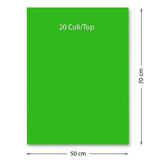 Hartie Cartonata FAVINI, Verde, 50x70 cm, 20 Coli/Top, 220 g/m², Carton Colorat, Carton Colorat 50x70, Hartie Cartonata Colorata, Hartie 50x70 Colorata, Coli Colorate, Top Hartie Cartonata, Coli Cartonate 50x70 cm, Hartie Cartonata Verde