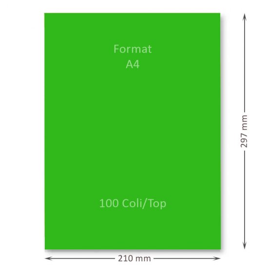 Hartie Cartonata A4 GOLDPAPER, 100 Coli/Top, Verde, 160 g/m², 297x210 mm, Hartie Cartonata Verde A4, Hartie Cartonata Decorativa, Hartie Cartonata pentru Invitatii, Hartie Cartonata Groasa, Hartie Cartonata Colorata, Top Hartie Cartonata