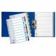 Separatoare Index din Carton Esselte Mylar, A4, Tip Index 1-12, Taste Laminate, Multicolor, Separator Index, Separatoare Carton Index, Separatoare Esselte, Separatoare Esselte Mylar, Separatoare Index Multicolor, Despartitoare din Carton 