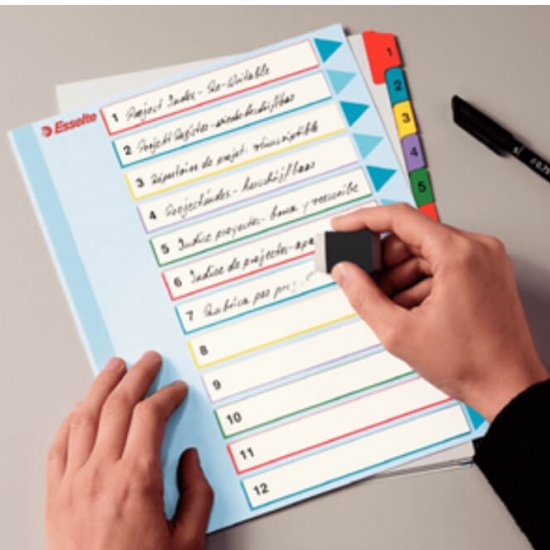Separatoare Index din Carton Esselte Mylar, A4, Tip Index 1-12, Taste Laminate, Multicolor, Separator Index, Separatoare Carton Index, Separatoare Esselte, Separatoare Esselte Mylar, Separatoare Index Multicolor, Despartitoare din Carton 