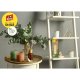 Lavete Rola Bambus Green Life, 35 Buc/Set, 25x27 cm, Lavete Bucatarie, Lavete Baie, Fino Green Life, Lavete Ecologice, Lavete Green Life, Lavete Rola Bambus