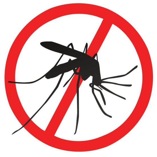 Spray Anti Muste si Tantari Raid, Eucalipt, 400 ml, Insecticid, Spray Anti Insecte Raid, Spray Insecticid pentru Muste si Tantari, Spray Raid Anti Muste si Tantari, Spray Raid Impotriva Mustelor si Tantarilor, Insecticid Raid, Insecticide Raid