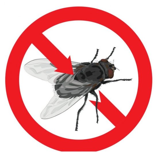 Spray Anti Muste si Tantari Raid, Eucalipt, 400 ml, Insecticid, Spray Anti Insecte Raid, Spray Insecticid pentru Muste si Tantari, Spray Raid Anti Muste si Tantari, Spray Raid Impotriva Mustelor si Tantarilor, Insecticid Raid, Insecticide Raid