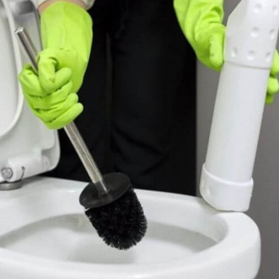 Dezinfectant WC DUCK, Toilet Shield, 750 ml, Dezinfectare toaleta, Dezinfectant WC Gel, Dezinfectant WC Lichid, Lichid Curatare WC Toilet Shield, Duck WC Toilet Shield Gel, Solutie Toaleta, Curatare WC