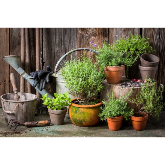 Ghiveci M1 Sentosa, 16 cm, Gri, Ghiveci pentru Plante, Ghiveci pentru Planta, Ghiveci Gri pentru Plante, Ghiveci pentru Floare, Ghiveci pentru Flori, Ghiveci Sentosa Gri pentru Flori, Articole Decorative pentru Plante