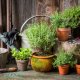 Ghiveci M1 Sentosa, 16 cm, Gri, Ghiveci pentru Plante, Ghiveci pentru Planta, Ghiveci Gri pentru Plante, Ghiveci pentru Floare, Ghiveci pentru Flori, Ghiveci Sentosa Gri pentru Flori, Articole Decorative pentru Plante