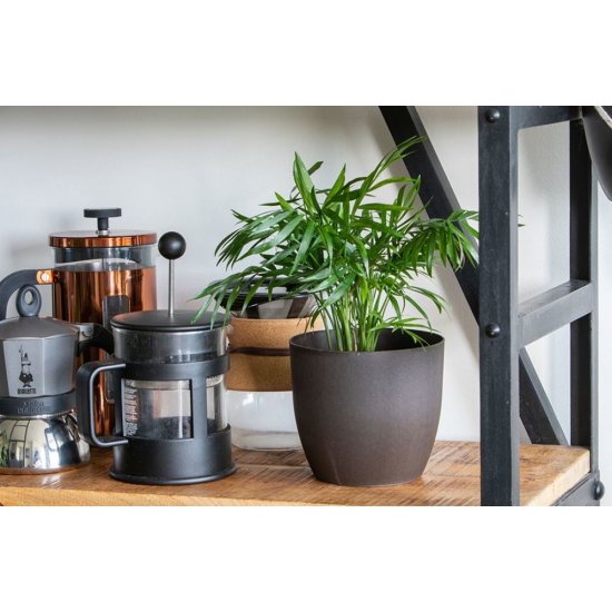 Ghiveci M1 Sentosa, 16 cm, Gri, Ghiveci pentru Plante, Ghiveci pentru Planta, Ghiveci Gri pentru Plante, Ghiveci pentru Floare, Ghiveci pentru Flori, Ghiveci Sentosa Gri pentru Flori, Articole Decorative pentru Plante