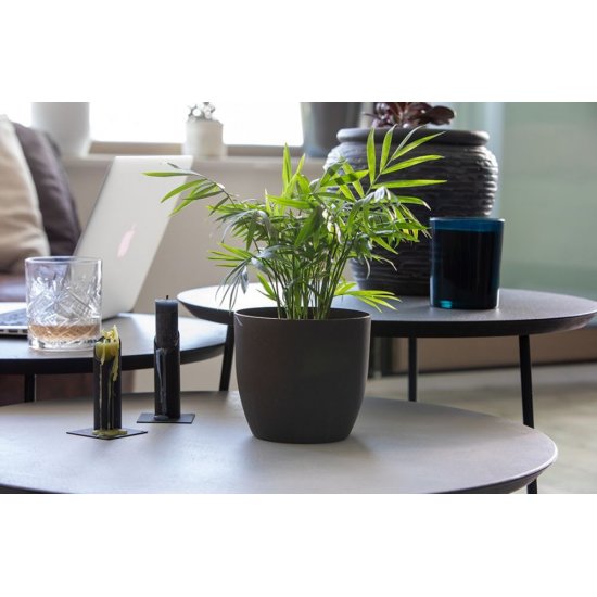 Ghiveci M1 Sentosa, 16 cm, Gri, Ghiveci pentru Plante, Ghiveci pentru Planta, Ghiveci Gri pentru Plante, Ghiveci pentru Floare, Ghiveci pentru Flori, Ghiveci Sentosa Gri pentru Flori, Articole Decorative pentru Plante