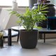 Ghiveci M1 Sentosa, 16 cm, Gri, Ghiveci pentru Plante, Ghiveci pentru Planta, Ghiveci Gri pentru Plante, Ghiveci pentru Floare, Ghiveci pentru Flori, Ghiveci Sentosa Gri pentru Flori, Articole Decorative pentru Plante