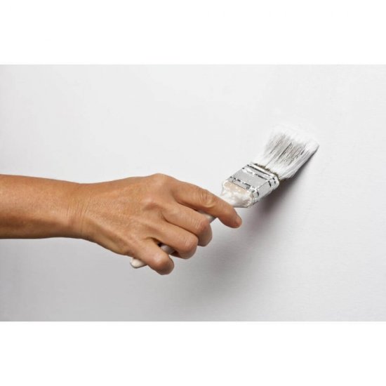 Pensula Plastic de Vopsit Sentosa, 20 mm, Alba, Pensula Subtire Vopsit, Pensule Subtiri Vopsit, Pensula Universala pentru Vopsit, Pensule pentru Lacuri si Vopsele, Sentosa Pensule Vopsea, Unelte Vopsit si Tencuit, Pensule Zugravit