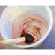 Flacon Pigment Portocaliu Renew, 70 ml, Pigment Vopsea, Pigmenti Vopsele, Pigmenti Portocalii, Pigmenti Vopsea, Pigment la Flacon, Pigmenti la Flacon, Pigment pentru Vopsea, Pigmenti pentru Vopsea, Pigment Zugraveli, Pigmenti Zugraveli