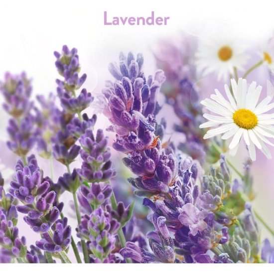 AIR WICK Gel Odorizant Stick-Up, Lavander, 2 Buc/Set, Parfum de Lavanda, Odorizant, Ideal pentru Spatii Mici, Odorizant de Camera, Set Odorizante AIR WICK, Odorizant Stick-up, Odorizant Gel Spatii Mici, Odorizant Parfum de Lavanda